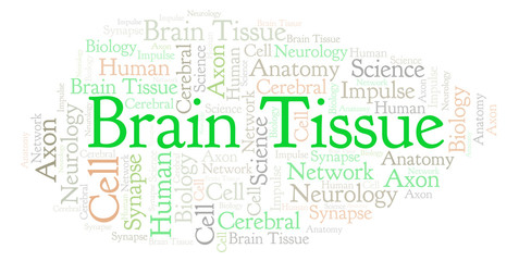 Obraz premium Brain Tissue word cloud.