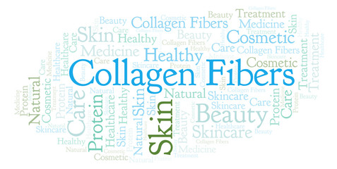 Collagen Fibers word cloud.