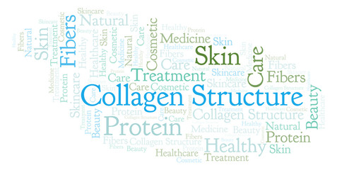 Obraz premium Collagen Structure word cloud.