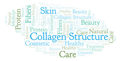 Obraz premium Collagen Structure word cloud.