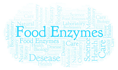 Obraz premium Food Enzymes word cloud.