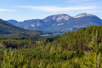 Wonderful landscape in Telemark region - mountain valley covered with the forest with blue lakes, Southern Norway