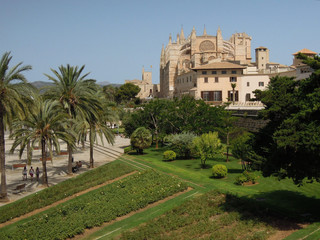 Fototapeta na wymiar Palma de Majorca, cathedral, Balearic Islands, Spain