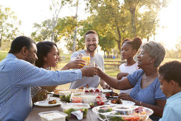 Multi Generation Family Enjoying Picnic In Park Together