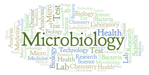 Obraz premium Microbiology word cloud.