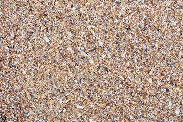 Sand, fine stones and many different particles of crushed shells