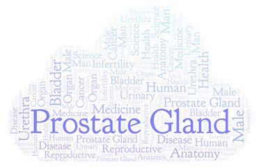 Prostate Gland word cloud.