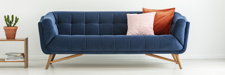 Panorama of plant on table next to navy blue sofa with pillows in white apartment interior. Real photo