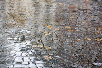 Wet Cobblestone Street in a Scalloped Pattern with Copy Space