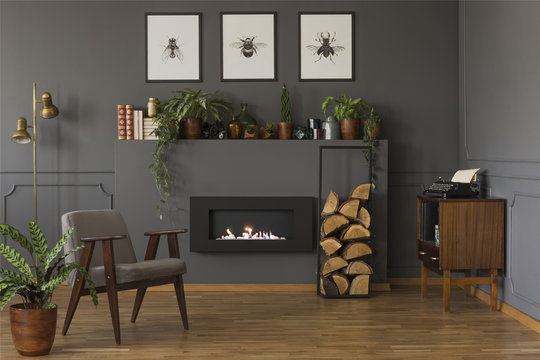 Real photo of a grey armchair standing in front of a lamp, shelf with plants and fireplace in vintage living room interior