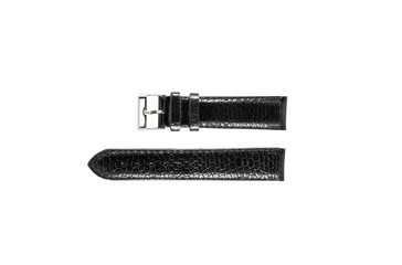 The watchstrap isolated