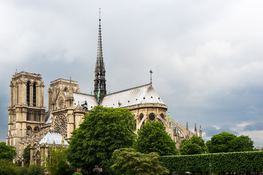 Notre Dame Catherdral Viewed from across the Seine