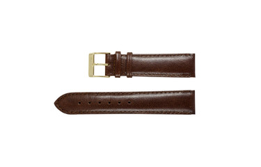 The watchstrap isolated