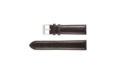 The watchstrap isolated