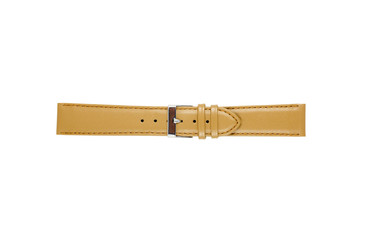 The watchstrap isolated