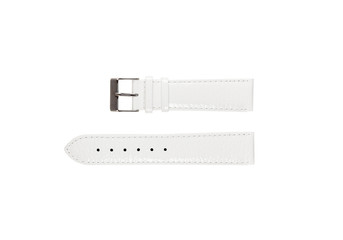 The watchstrap isolated
