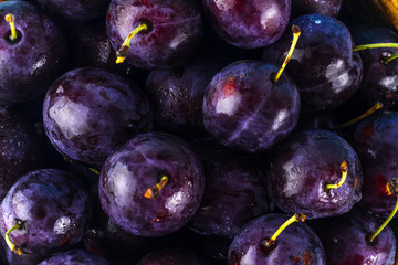 Ripe, juicy, blue plums close-up. Wallpaper