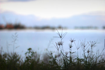 Malubog Lake in tranquil scene 