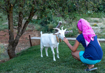 Girl Feeding White Goat 3