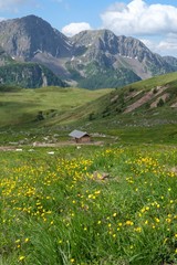 paesaggio montagna natura verde prato pascolo fiori rocce cime valle veduta alpi