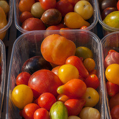 Barquettes de tomates de différentes variétés sur un étalage de marché