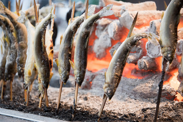 Grilled Ayu fish with salt. Simple, traditional and signature food of Kegon Fall, Nikko