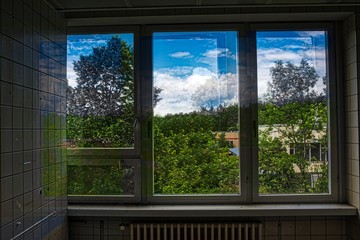 Fototapeta premium Blick in den Garten
