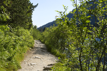 Fototapeta na wymiar Path around Popradske Pleso in Tatra mountains, Slovakia.