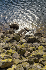 Shining water and rocks with lichen, detail of Popradske pleso.