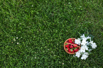 A small basket with fresh strawberries on the grass. View from above. Mine space. Organic red berries in a basket