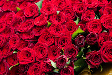 A bouquet of red roses close-up. Selective focus.