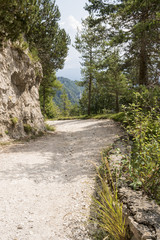Fototapeta premium Dirt road in the mountains on a sunny day. Ancient military road in the Italian Alps in the woods above Lake Garda.