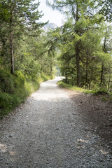 Fototapeta na wymiar Dirt road in the mountains on a sunny day. Ancient military road in the Italian Alps in the woods above Lake Garda.