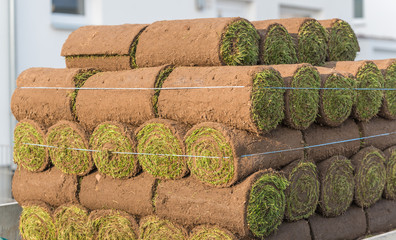 Rollrasen vorm Verlegen