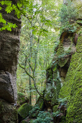 High rock towers in Bohemian paradise, Czech Republic. Summer landscape