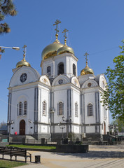 Fototapeta na wymiar Military Cathedral of blessed St. Prince Alexander Nevsky