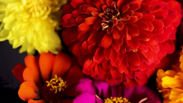 A bouquet of flowers spinning on a black background. Close up.