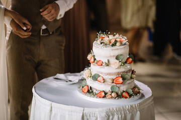 A bride and a groom is cutting their wedding cake