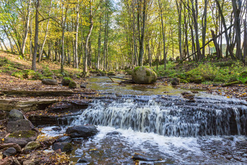Ravine with stream and waterfall in the deciduous forest;