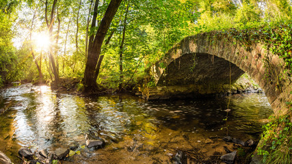 Fototapeta na wymiar Old bridge over a creek in the forest with bright sun in the background