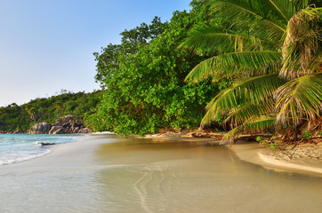 Naklejka na ściany i meble Anse Lazio beach, Seychelles