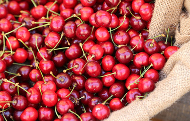 many red ripe cherries