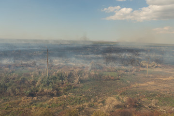 Forest fire. Burned trees after wildfire, pollution