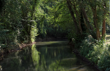 Grand Morin river bank in Île de France