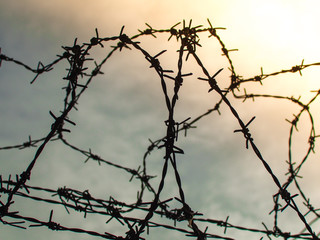 Fototapeta na wymiar Tangle of barbed wire against the morning sky, Silhouette photo effect.