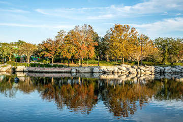 Fototapeta na wymiar Upside down autumn trees with blue sky reflection in water.