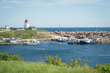 lighthouse harbour