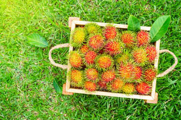 Fresh rambutans in wooden box. Tropical fruit of summer season. © sutteerug