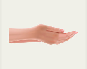 Realistic female hands on a white background