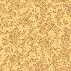 Fototapeta na wymiar Almond nut seamless pattern background - Vector